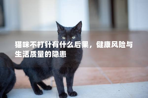 猫咪不打针有什么后果，健康风险与生活质量的隐患