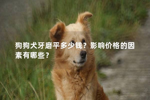 狗狗犬牙磨平多少钱？影响价格的因素有哪些？