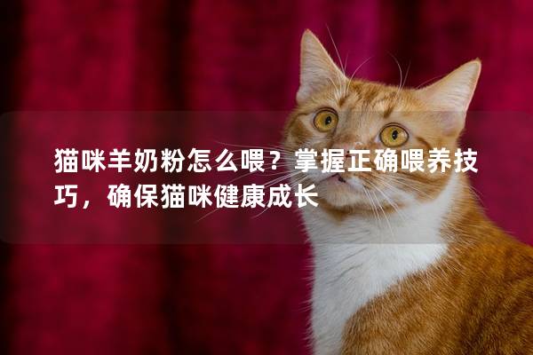 猫咪羊奶粉怎么喂？掌握正确喂养技巧，确保猫咪健康成长