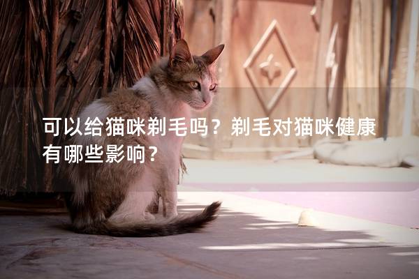 可以给猫咪剃毛吗？剃毛对猫咪健康有哪些影响？