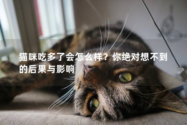 猫咪吃多了会怎么样？你绝对想不到的后果与影响