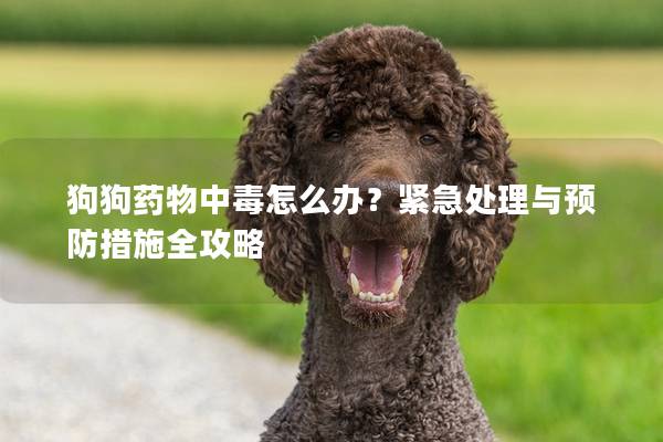 狗狗药物中毒怎么办？紧急处理与预防措施全攻略