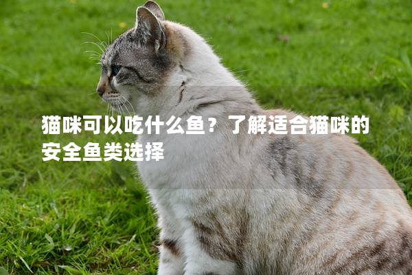 猫咪可以吃什么鱼？了解适合猫咪的安全鱼类选择