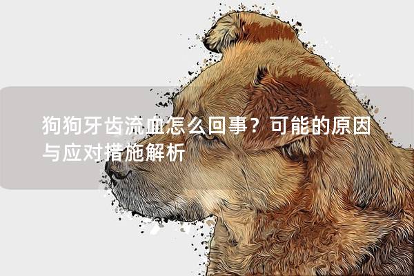 狗狗牙齿流血怎么回事？可能的原因与应对措施解析