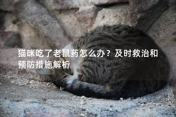 猫咪吃了老鼠药怎么办？及时救治和预防措施解析