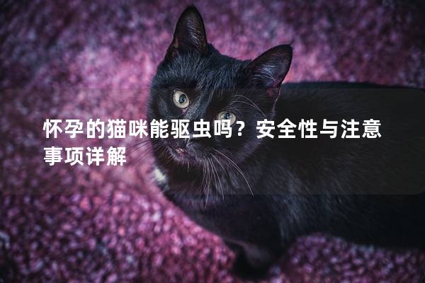 怀孕的猫咪能驱虫吗？安全性与注意事项详解