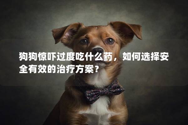 狗狗惊吓过度吃什么药，如何选择安全有效的治疗方案？