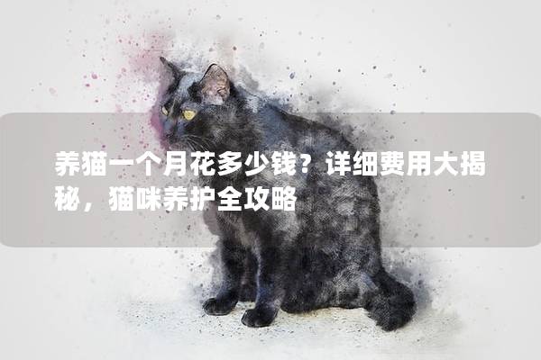 养猫一个月花多少钱？详细费用大揭秘，猫咪养护全攻略