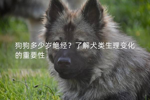 狗狗多少岁绝经？了解犬类生理变化的重要性