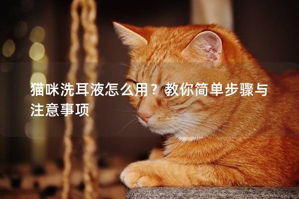 猫咪洗耳液怎么用？教你简单步骤与注意事项