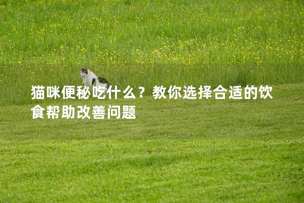 猫咪便秘吃什么？教你选择合适的饮食帮助改善问题