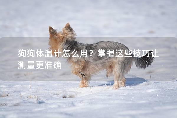 狗狗体温计怎么用？掌握这些技巧让测量更准确