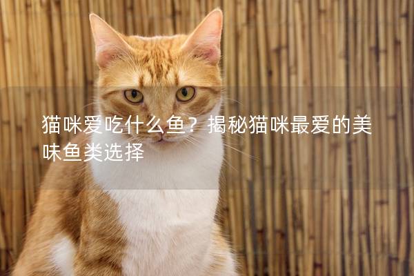 猫咪爱吃什么鱼？揭秘猫咪最爱的美味鱼类选择