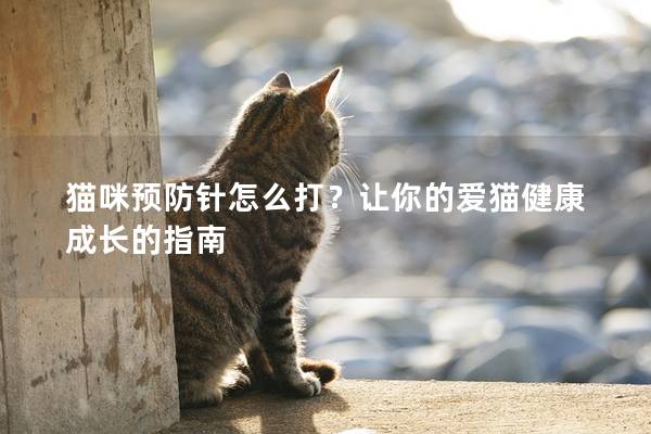 猫咪预防针怎么打？让你的爱猫健康成长的指南