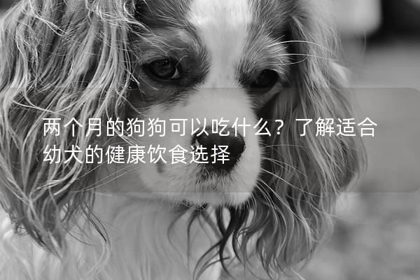 两个月的狗狗可以吃什么？了解适合幼犬的健康饮食选择