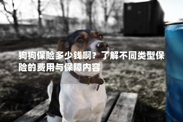 狗狗保险多少钱啊？了解不同类型保险的费用与保障内容