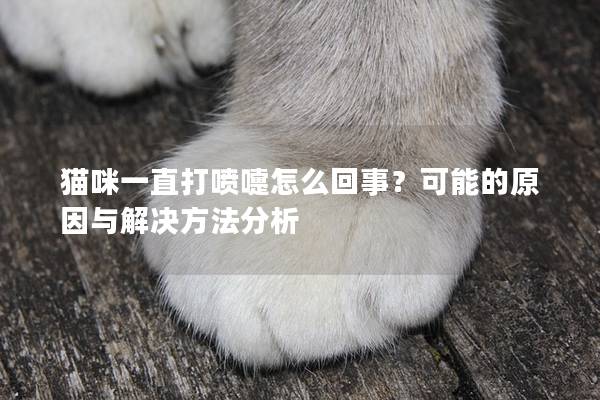 猫咪一直打喷嚏怎么回事？可能的原因与解决方法分析