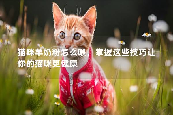 猫咪羊奶粉怎么喂，掌握这些技巧让你的猫咪更健康