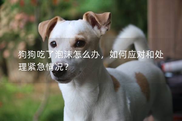 狗狗吃了泡沫怎么办,如何应对和处理紧急情况? 狗狗吃了泡沫怎么办,如何应对和处理紧急情况?