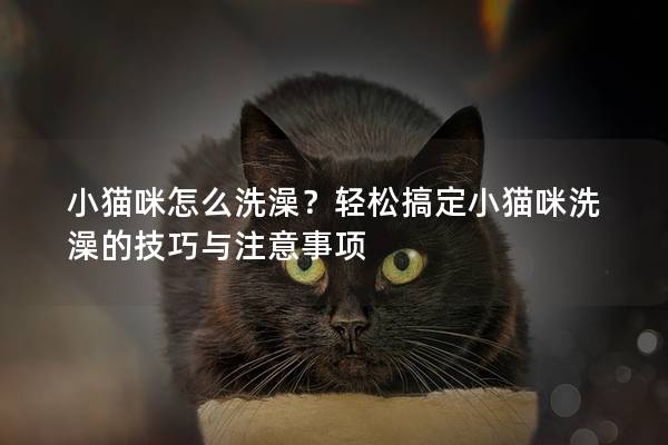 小猫咪怎么洗澡？轻松搞定小猫咪洗澡的技巧与注意事项