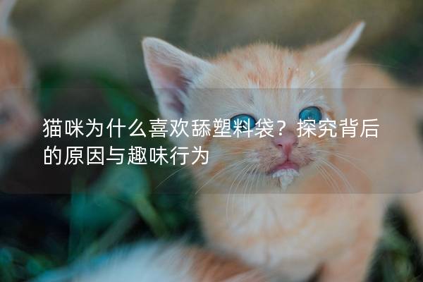 猫咪为什么喜欢舔塑料袋？探究背后的原因与趣味行为