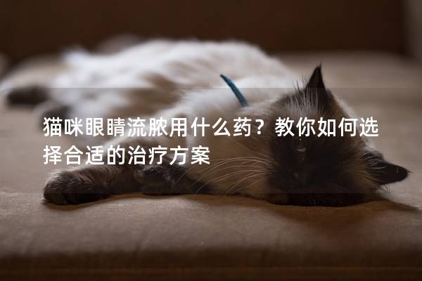 猫咪眼睛流脓用什么药？教你如何选择合适的治疗方案