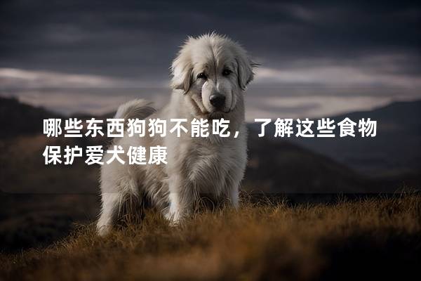 哪些东西狗狗不能吃，了解这些食物保护爱犬健康