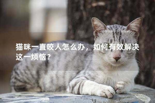 猫咪一直咬人怎么办，如何有效解决这一烦恼？