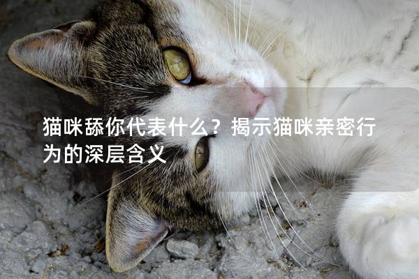 猫咪舔你代表什么？揭示猫咪亲密行为的深层含义