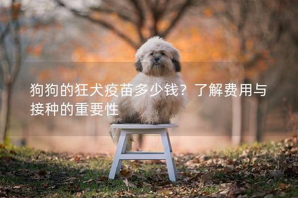 狗狗的狂犬疫苗多少钱？了解费用与接种的重要性