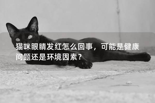 猫咪眼睛发红怎么回事，可能是健康问题还是环境因素？