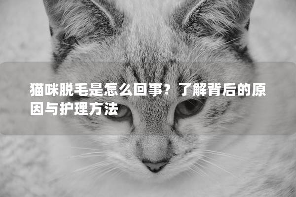 猫咪脱毛是怎么回事？了解背后的原因与护理方法