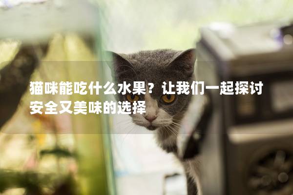 猫咪能吃什么水果？让我们一起探讨安全又美味的选择