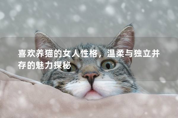 喜欢养猫的女人性格，温柔与独立并存的魅力探秘