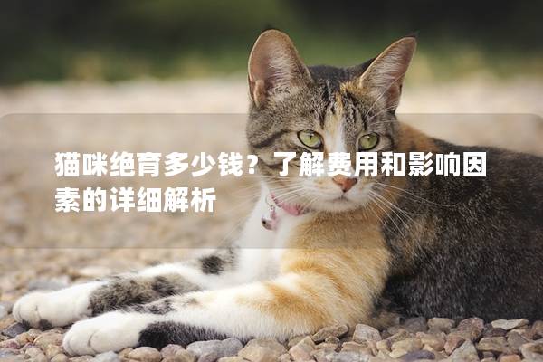 猫咪绝育多少钱？了解费用和影响因素的详细解析