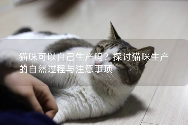 猫咪可以自己生产吗？探讨猫咪生产的自然过程与注意事项