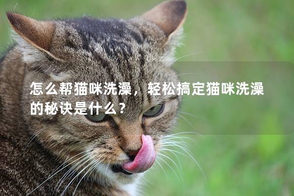 怎么帮猫咪洗澡，轻松搞定猫咪洗澡的秘诀是什么？