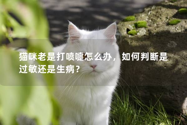 猫咪老是打喷嚏怎么办，如何判断是过敏还是生病？