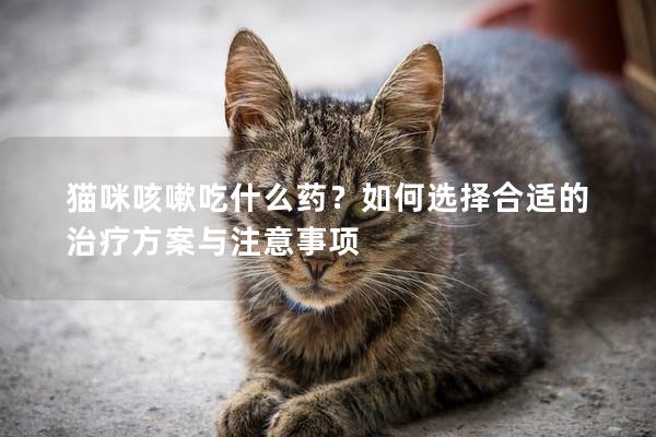 猫咪咳嗽吃什么药？如何选择合适的治疗方案与注意事项