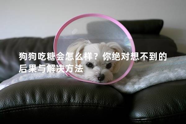 狗狗吃糖会怎么样？你绝对想不到的后果与解决方法