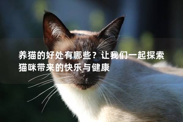 养猫的好处有哪些？让我们一起探索猫咪带来的快乐与健康