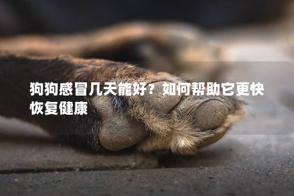 狗狗感冒几天能好？如何帮助它更快恢复健康