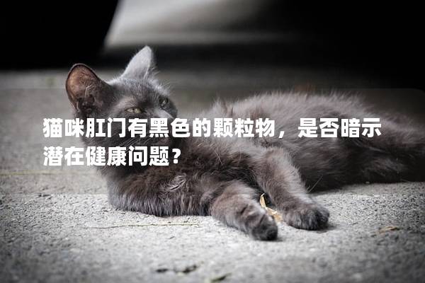 猫咪肛门有黑色的颗粒物，是否暗示潜在健康问题？