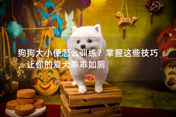 狗狗大小便怎么训练？掌握这些技巧，让你的爱犬乖乖如厕