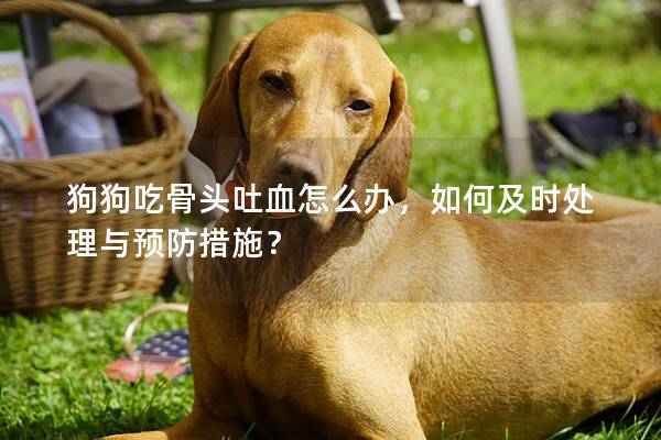 狗狗吃骨头吐血怎么办，如何及时处理与预防措施？