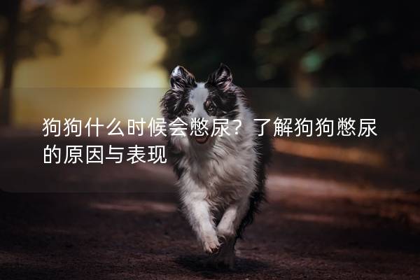 狗狗什么时候会憋尿？了解狗狗憋尿的原因与表现