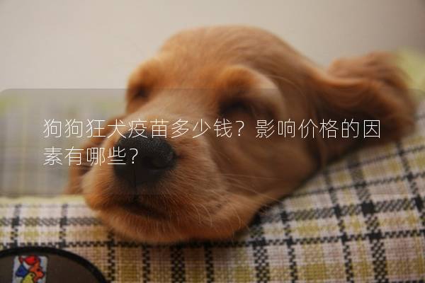 狗狗狂犬疫苗多少钱？影响价格的因素有哪些？