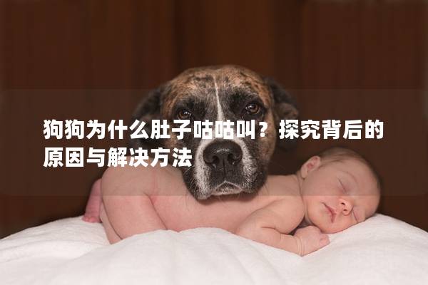 狗狗为什么肚子咕咕叫？探究背后的原因与解决方法