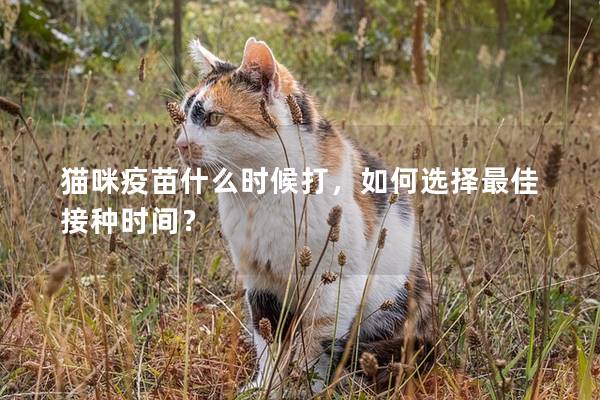 猫咪疫苗什么时候打，如何选择最佳接种时间？