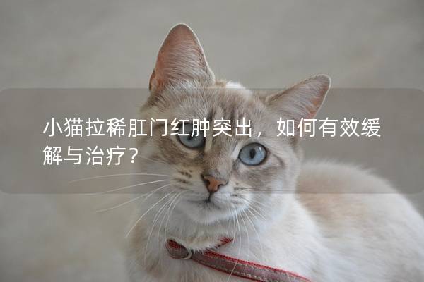 小猫拉稀肛门红肿突出，如何有效缓解与治疗？